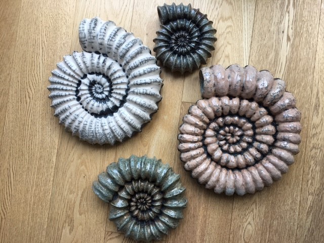 Raku Ammonites